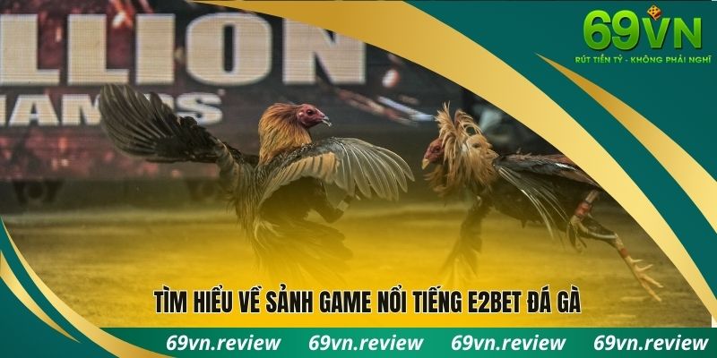 Tìm hiểu về sảnh game nổi tiếng E2BET đá gà