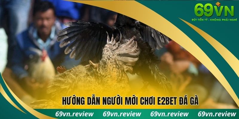 Hướng dẫn chơi e2bet đá gà
