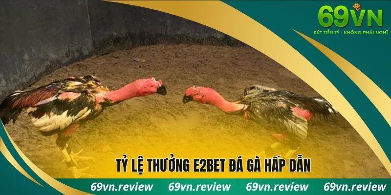 Tỷ lệ thưởng e2bet đá gà hấp dẫn